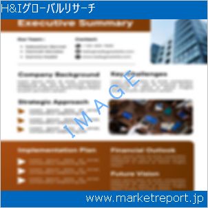 市場と産業調査レポートのイメージ