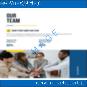 市場と産業調査レポートのイメージ
