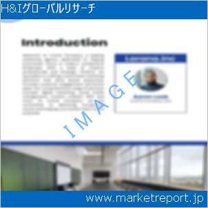 市場と産業調査レポートのイメージ