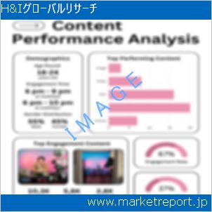 市場と産業調査レポートのイメージ