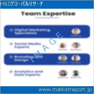市場と産業調査レポートのイメージ