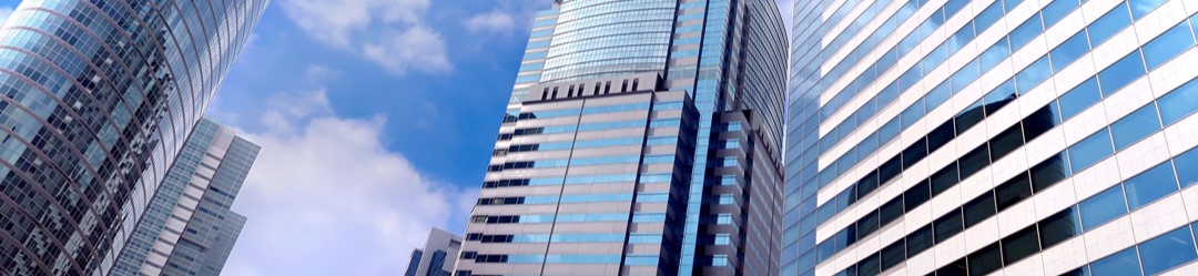 Japan Market Research Reports Reseller Partner Company